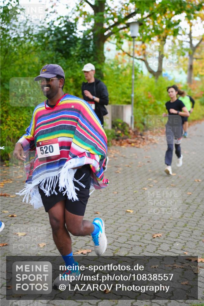 11.10.2026 - Bramfelder Halbmarathon 2026 LAZAROV Photography http://msf.ph/oto/10838557 11.10.2026 10:09:21 Laufen 520 meine-sportfotos.de