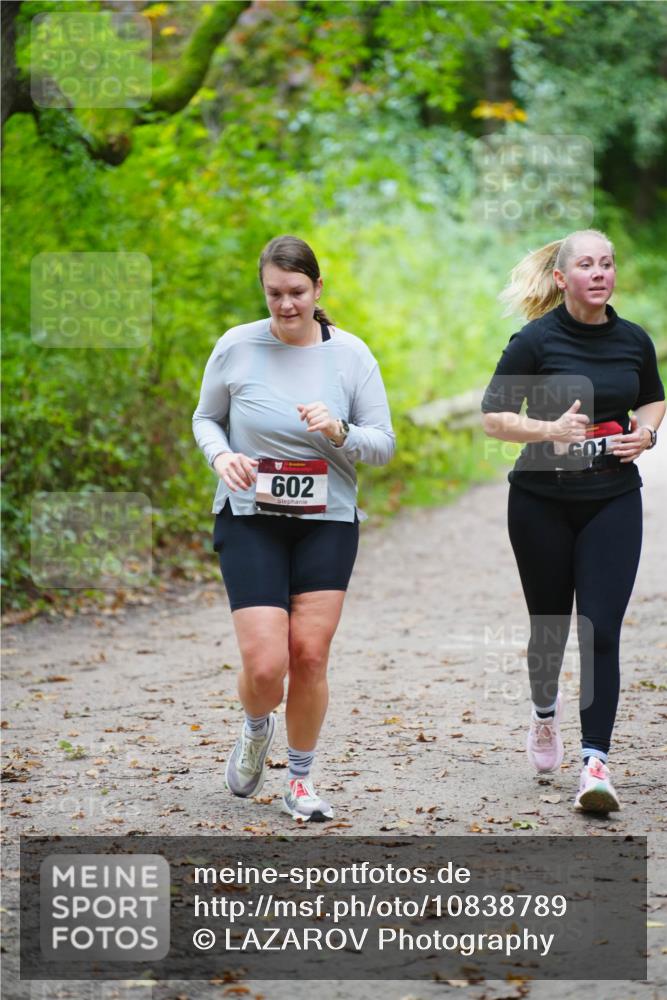 11.10.2026 - Bramfelder Halbmarathon 2026 LAZAROV Photography http://msf.ph/oto/10838789 11.10.2026 10:44:30 Laufen 602, 601 meine-sportfotos.de