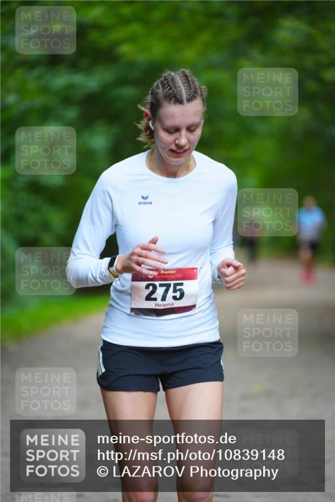 11.10.2026 - Bramfelder Halbmarathon 2026 LAZAROV Photography http://msf.ph/oto/10839148 11.10.2026 11:42:07 Laufen 275 meine-sportfotos.de