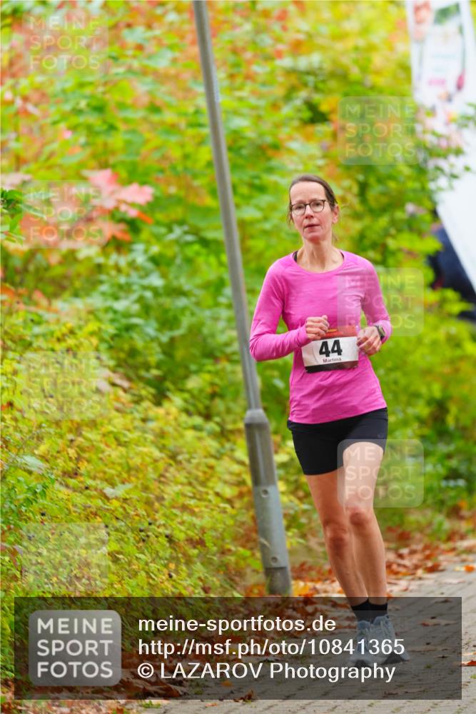 11.10.2026 - Bramfelder Halbmarathon 2026 LAZAROV Photography http://msf.ph/oto/10841365 11.10.2026 10:06:46 Laufen 44 meine-sportfotos.de