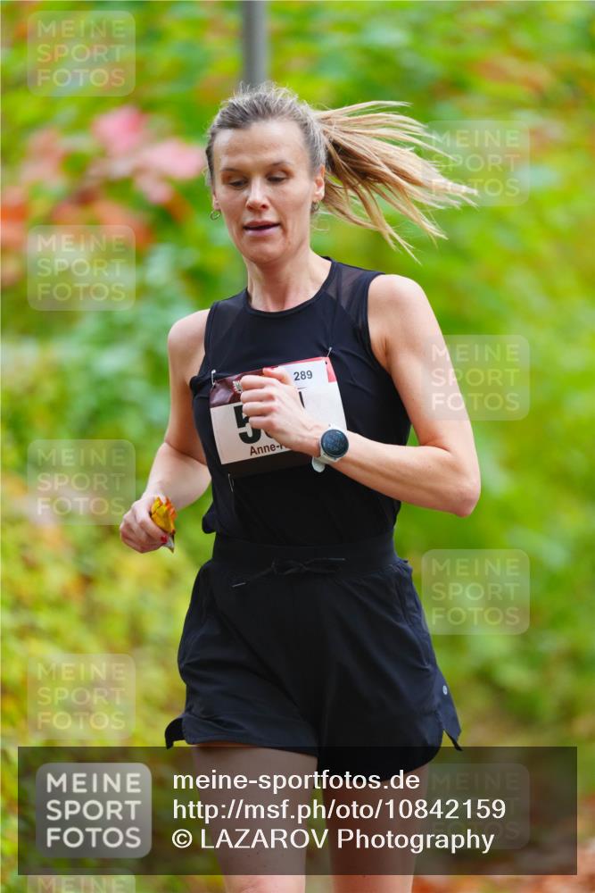 11.10.2026 - Bramfelder Halbmarathon 2026 LAZAROV Photography http://msf.ph/oto/10842159 11.10.2026 10:19:31 Laufen 289 meine-sportfotos.de