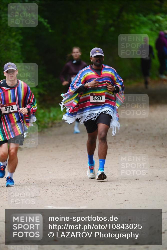 11.10.2026 - Bramfelder Halbmarathon 2026 LAZAROV Photography http://msf.ph/oto/10843025 11.10.2026 10:38:23 Laufen 217, 472, 520 meine-sportfotos.de