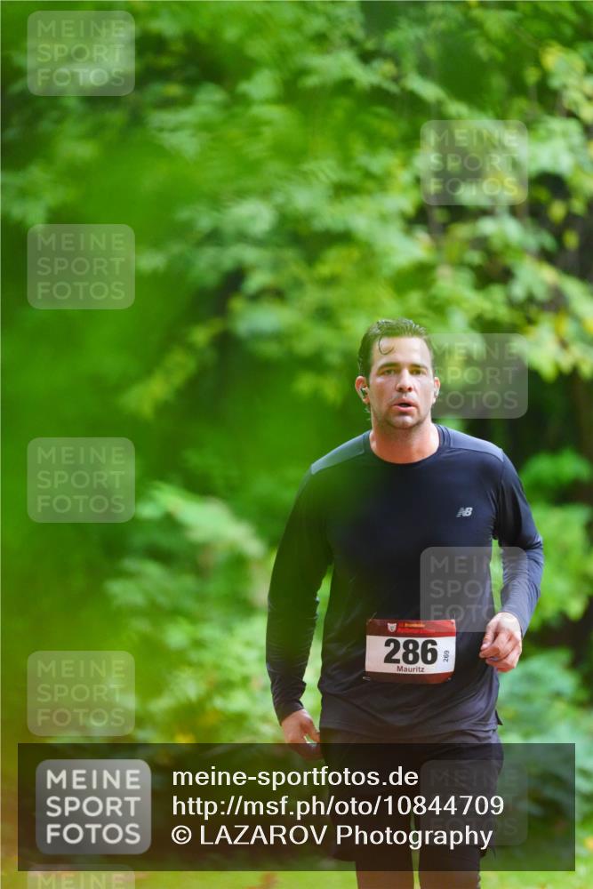 11.10.2026 - Bramfelder Halbmarathon 2026 LAZAROV Photography http://msf.ph/oto/10844709 11.10.2026 11:04:38 Laufen 5, 286, 269, 269 meine-sportfotos.de