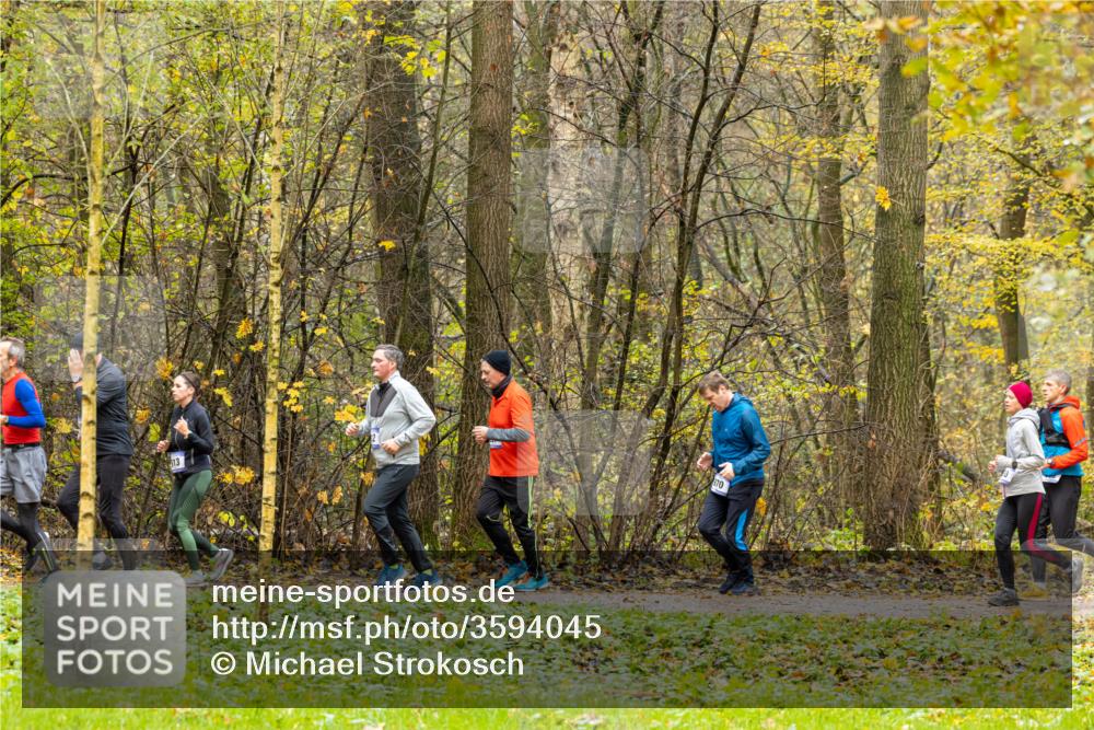 07.11.2021 - Bramfelder Winterlaufserie 2021/2022 Lauf 1 Michael Strokosch http://msf.ph/oto/3594045 07.11.2021 10:47:20 Laufen 870, 13 meine-sportfotos.de