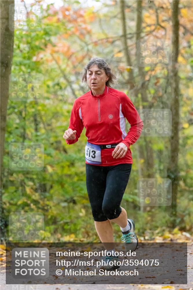 07.11.2021 - Bramfelder Winterlaufserie 2021/2022 Lauf 1 Michael Strokosch http://msf.ph/oto/3594075 07.11.2021 10:57:18 Laufen 513 meine-sportfotos.de