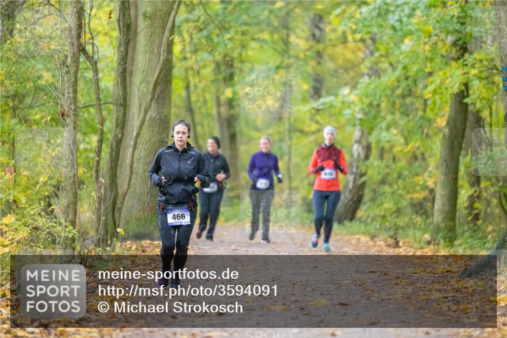 07.11.2021 - Bramfelder Winterlaufserie 2021/2022 Lauf 1 Michael Strokosch http://msf.ph/oto/3594091 07.11.2021 10:58:44 Laufen 466 meine-sportfotos.de