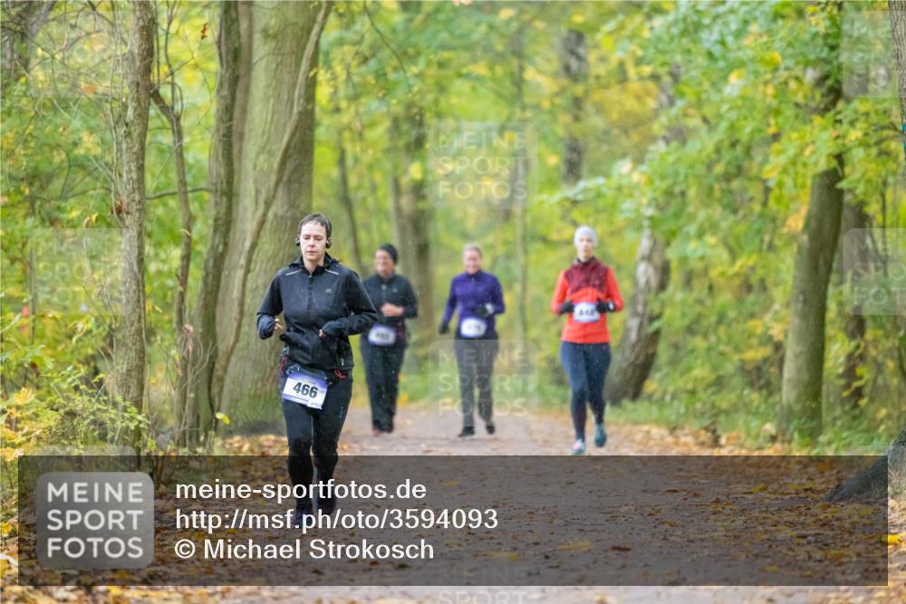07.11.2021 - Bramfelder Winterlaufserie 2021/2022 Lauf 1 Michael Strokosch http://msf.ph/oto/3594093 07.11.2021 10:58:45 Laufen 466 meine-sportfotos.de