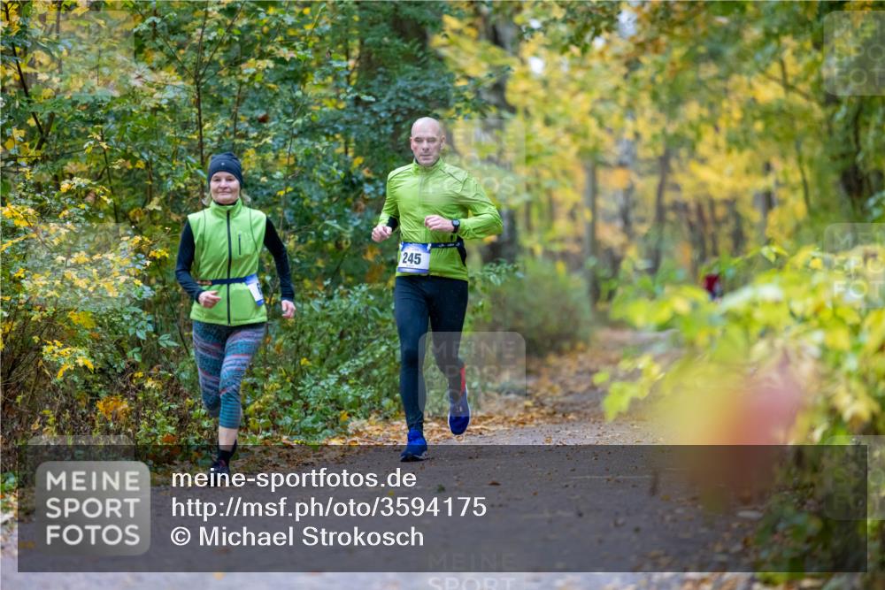 07.11.2021 - Bramfelder Winterlaufserie 2021/2022 Lauf 1 Michael Strokosch http://msf.ph/oto/3594175 07.11.2021 11:05:17 Laufen 245 meine-sportfotos.de