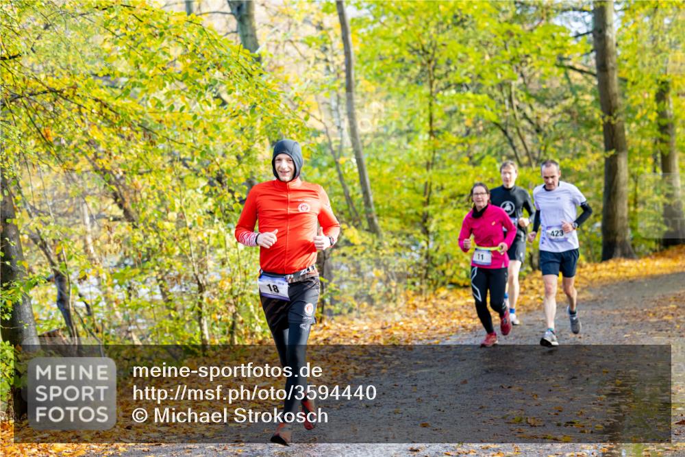 07.11.2021 - Bramfelder Winterlaufserie 2021/2022 Lauf 1 Michael Strokosch http://msf.ph/oto/3594440 07.11.2021 11:47:19 Laufen 423, 11, 18 meine-sportfotos.de