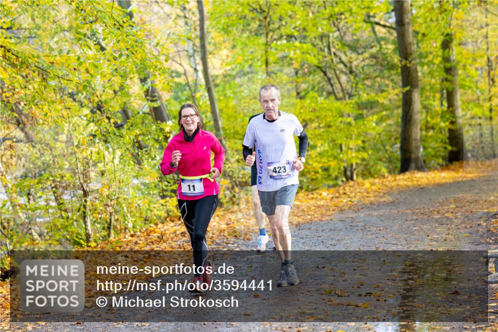 07.11.2021 - Bramfelder Winterlaufserie 2021/2022 Lauf 1 Michael Strokosch http://msf.ph/oto/3594441 07.11.2021 11:47:21 Laufen 423, 11 meine-sportfotos.de