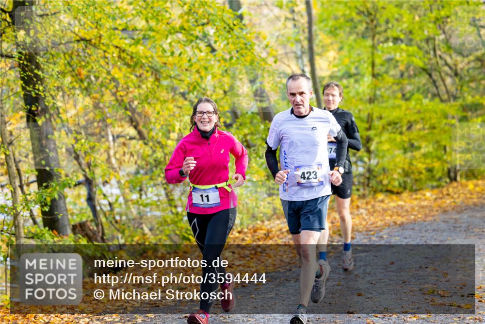 07.11.2021 - Bramfelder Winterlaufserie 2021/2022 Lauf 1 Michael Strokosch http://msf.ph/oto/3594444 07.11.2021 11:47:22 Laufen 74, 423, 11 meine-sportfotos.de