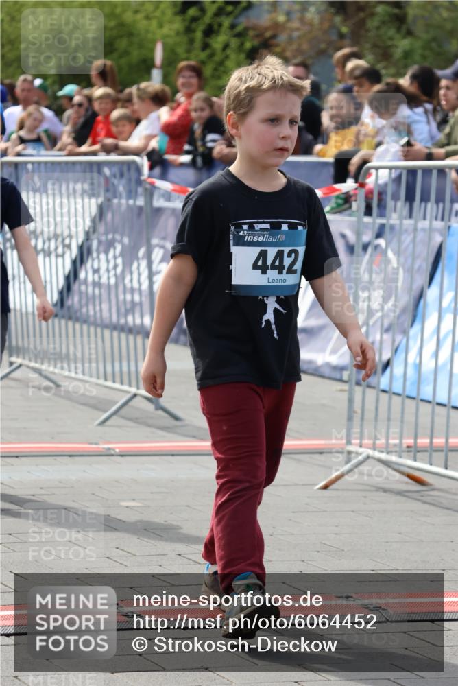07.04.2024 - 43. Internationalen Wilhelmsburger Insellauf Strokosch-Dieckow http://msf.ph/oto/6064452 07.04.2024 13:15:10 Ziel 442, 940 meine-sportfotos.de