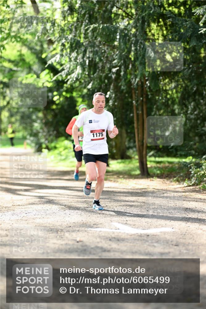 14.04.2024 - Hammer Lauf Dr. Thomas Lammeyer http://msf.ph/oto/6065499 14.04.2024 10:52:32 Laufen 1175 meine-sportfotos.de
