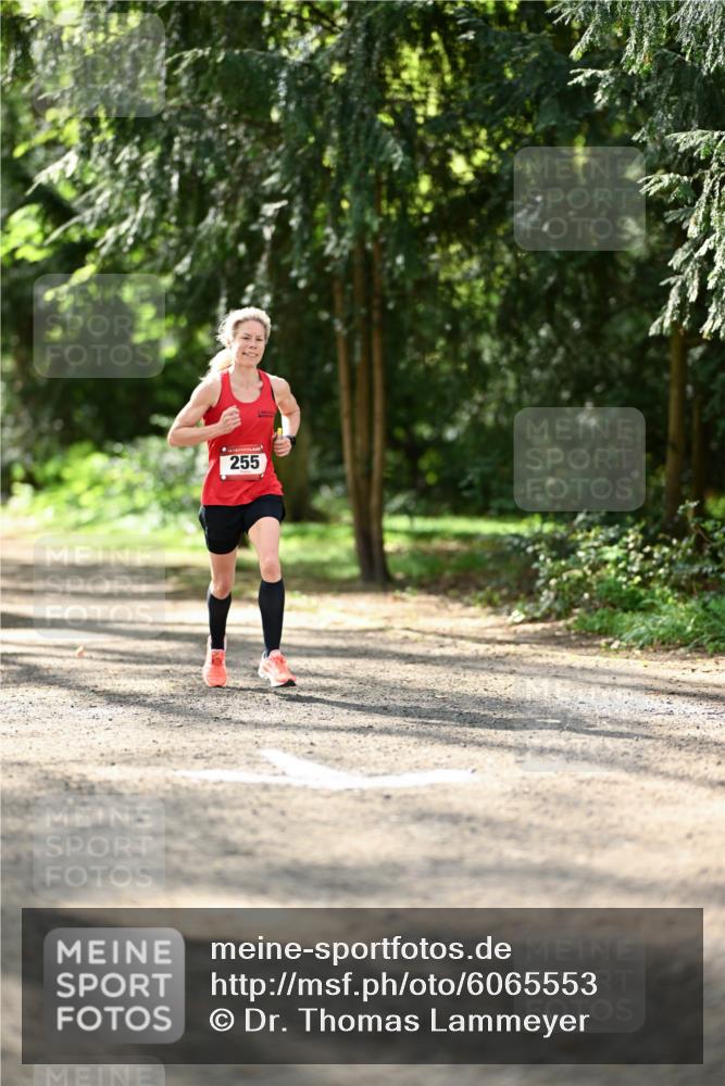 14.04.2024 - Hammer Lauf Dr. Thomas Lammeyer http://msf.ph/oto/6065553 14.04.2024 10:53:00 Laufen 255 meine-sportfotos.de