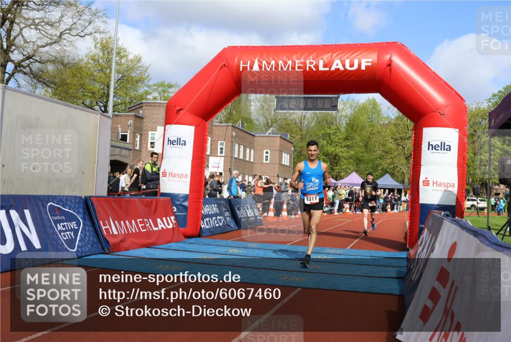 14.04.2024 - Hammer Lauf Strokosch-Dieckow http://msf.ph/oto/6067460 14.04.2024 10:55:44 Ziel 264, 1311, 1370, 264, 1311, 1370 meine-sportfotos.de