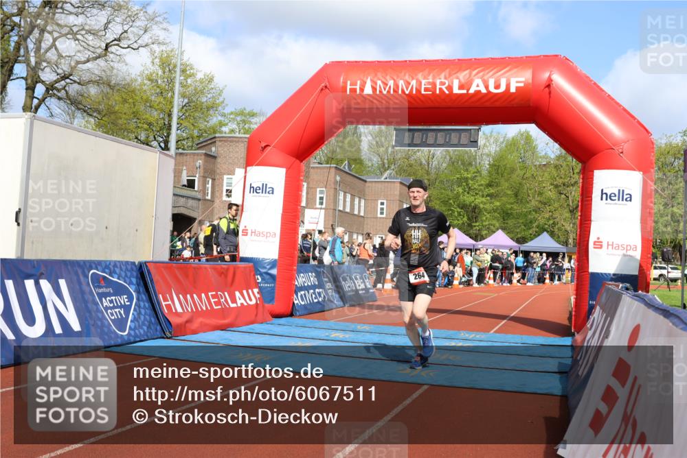 14.04.2024 - Hammer Lauf Strokosch-Dieckow http://msf.ph/oto/6067511 14.04.2024 10:55:47 Ziel 264, 1311, 1370, 264, 1311, 1370 meine-sportfotos.de