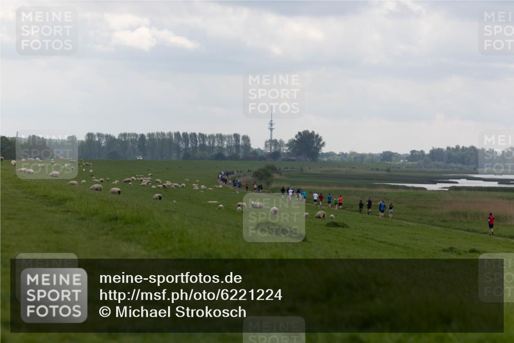 05.05.2024 - 7. Wedeler Halbmarathon Michael Strokosch http://msf.ph/oto/6221224 05.05.2024 11:22:52 Laufen  meine-sportfotos.de