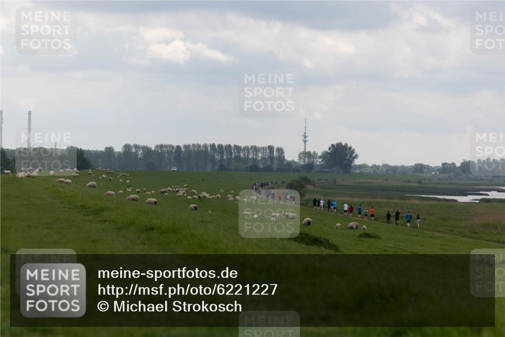 05.05.2024 - 7. Wedeler Halbmarathon Michael Strokosch http://msf.ph/oto/6221227 05.05.2024 11:22:53 Laufen  meine-sportfotos.de