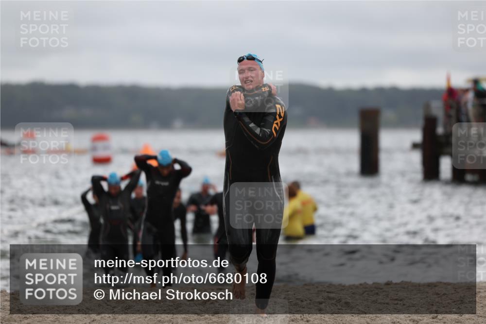 04.08.2024 - OstseeMan Michael Strokosch http://msf.ph/oto/6680108 04.08.2024 09:49:21 Schwimmen 220, 244, 258, 262, 278, 318, 357, 359, 364, 378, 386, 398, 1171, 1198 meine-sportfotos.de