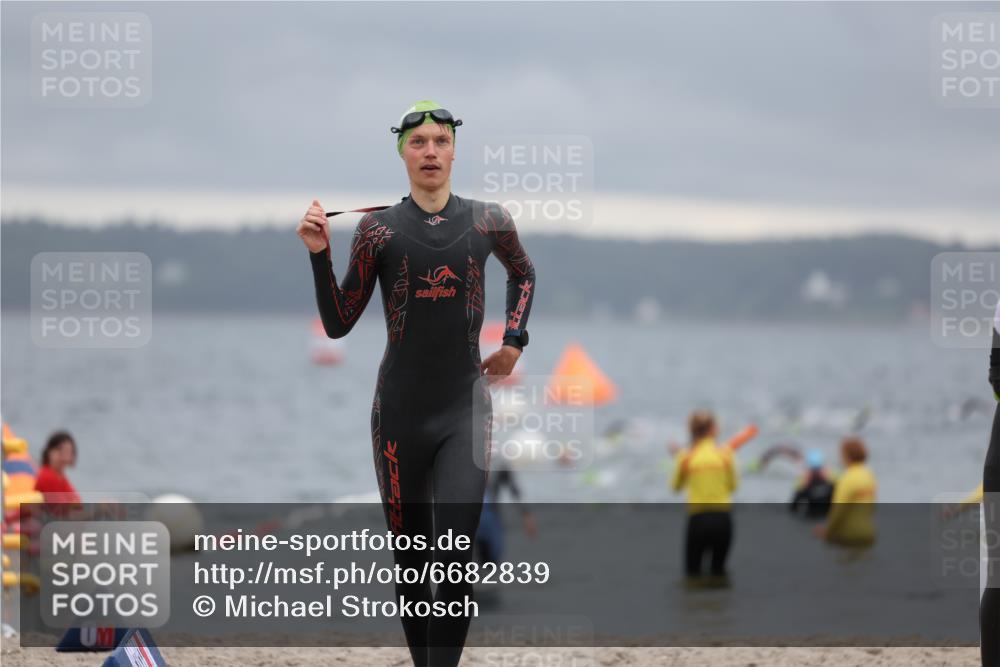 04.08.2024 - OstseeMan Michael Strokosch http://msf.ph/oto/6682839 04.08.2024 10:05:26 Schwimmen 444, 471, 505, 514, 518, 521, 560, 560, 594 meine-sportfotos.de