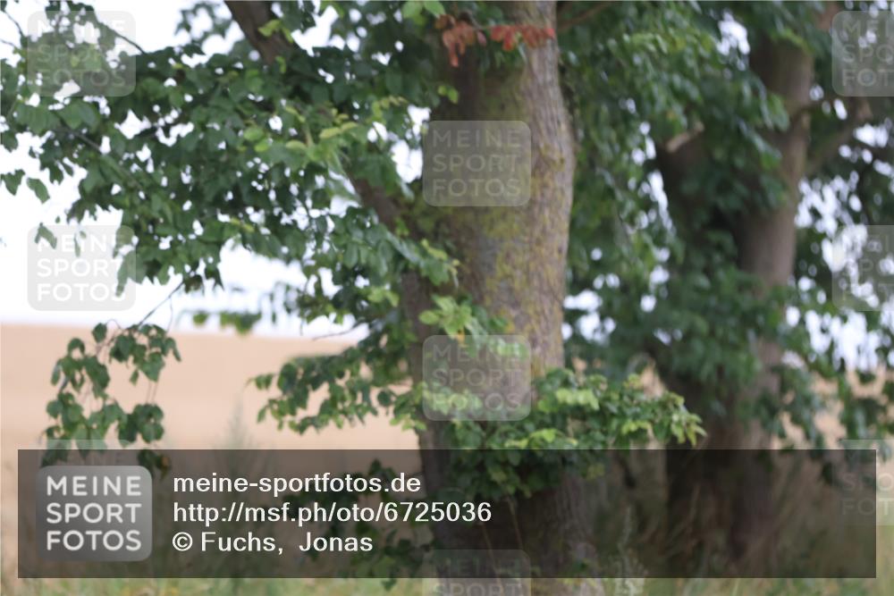 04.08.2024 - OstseeMan Fuchs,  Jonas http://msf.ph/oto/6725036 04.08.2024 10:05:48 Radfahren 223 meine-sportfotos.de