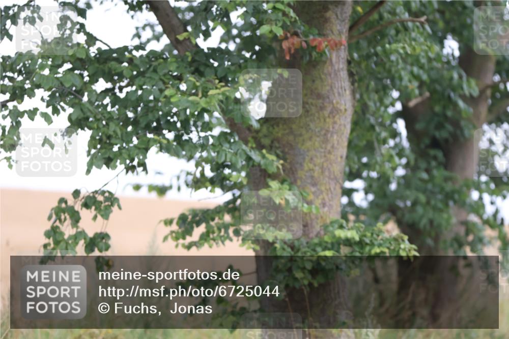 04.08.2024 - OstseeMan Fuchs,  Jonas http://msf.ph/oto/6725044 04.08.2024 10:05:49 Radfahren 223 meine-sportfotos.de