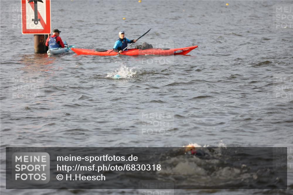 25.08.2024 - Elbe Triathlon Hamburg H.Heesch http://msf.ph/oto/6830318 25.08.2024 07:56:30 Schwimmen  meine-sportfotos.de