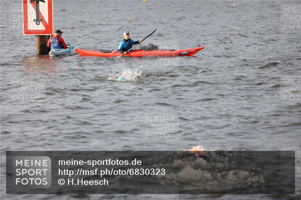 25.08.2024 - Elbe Triathlon Hamburg H.Heesch http://msf.ph/oto/6830323 25.08.2024 07:56:30 Schwimmen  meine-sportfotos.de