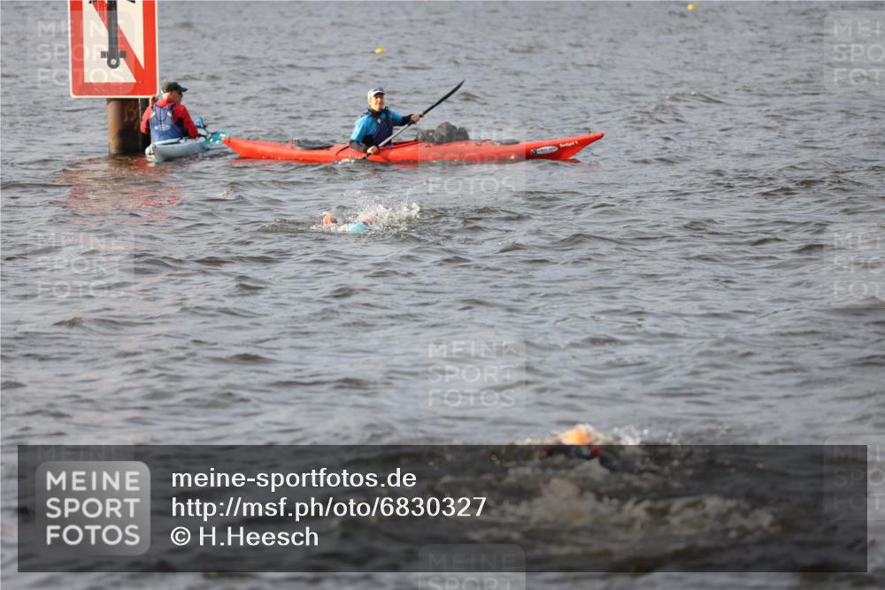 25.08.2024 - Elbe Triathlon Hamburg H.Heesch http://msf.ph/oto/6830327 25.08.2024 07:56:30 Schwimmen  meine-sportfotos.de