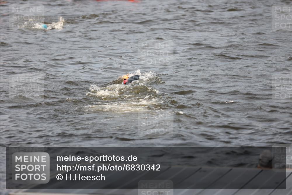 25.08.2024 - Elbe Triathlon Hamburg H.Heesch http://msf.ph/oto/6830342 25.08.2024 07:56:32 Schwimmen  meine-sportfotos.de