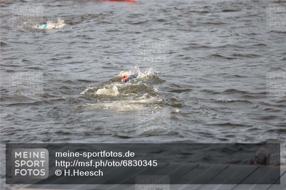25.08.2024 - Elbe Triathlon Hamburg H.Heesch http://msf.ph/oto/6830345 25.08.2024 07:56:32 Schwimmen  meine-sportfotos.de