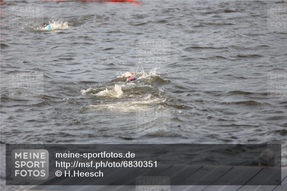 25.08.2024 - Elbe Triathlon Hamburg H.Heesch http://msf.ph/oto/6830351 25.08.2024 07:56:32 Schwimmen  meine-sportfotos.de