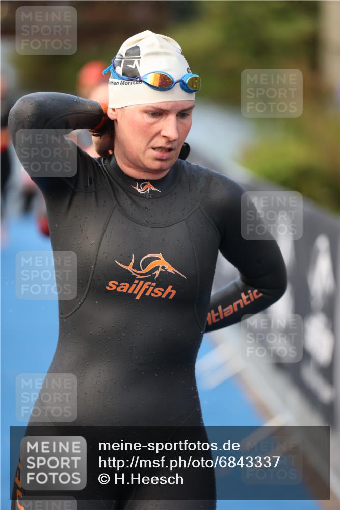 25.08.2024 - Elbe Triathlon Hamburg H.Heesch http://msf.ph/oto/6843337 25.08.2024 08:46:15 Schwimmen 123, 131, 138, 149, 154, 160, 179, 184 meine-sportfotos.de