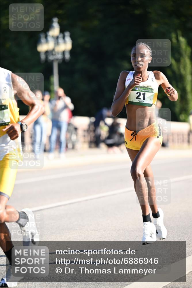 01.09.2024 - BARMER Alsterlauf Dr. Thomas Lammeyer http://msf.ph/oto/6886946 01.09.2024 09:17:22 Laufen 2, 35, 21 meine-sportfotos.de
