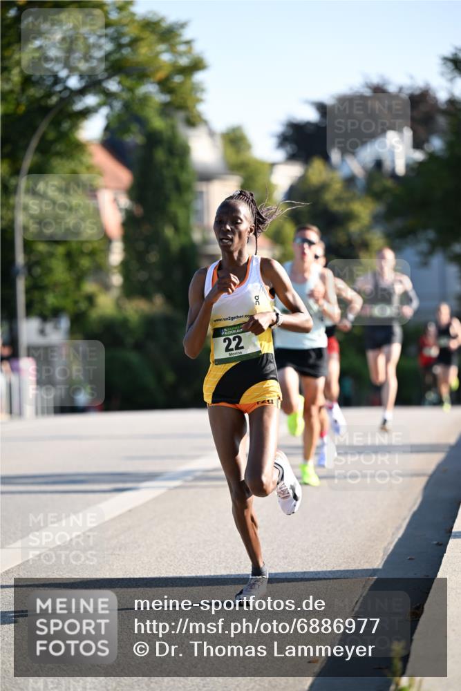 01.09.2024 - BARMER Alsterlauf Dr. Thomas Lammeyer http://msf.ph/oto/6886977 01.09.2024 09:17:41 Laufen 2, 135, 22 meine-sportfotos.de