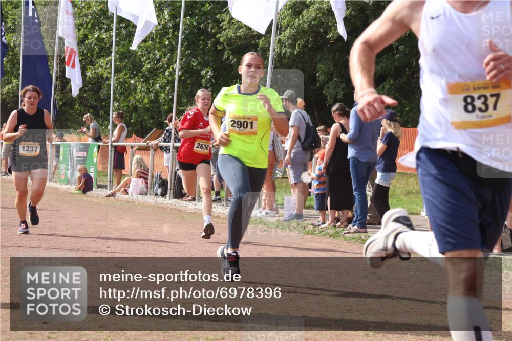 08.09.2024 - Airport Race Strokosch-Dieckow http://msf.ph/oto/6978396 08.09.2024 12:10:56 Ziel 837, 1237, 2584, 2619, 2638, 2690, 2893, 2901 meine-sportfotos.de