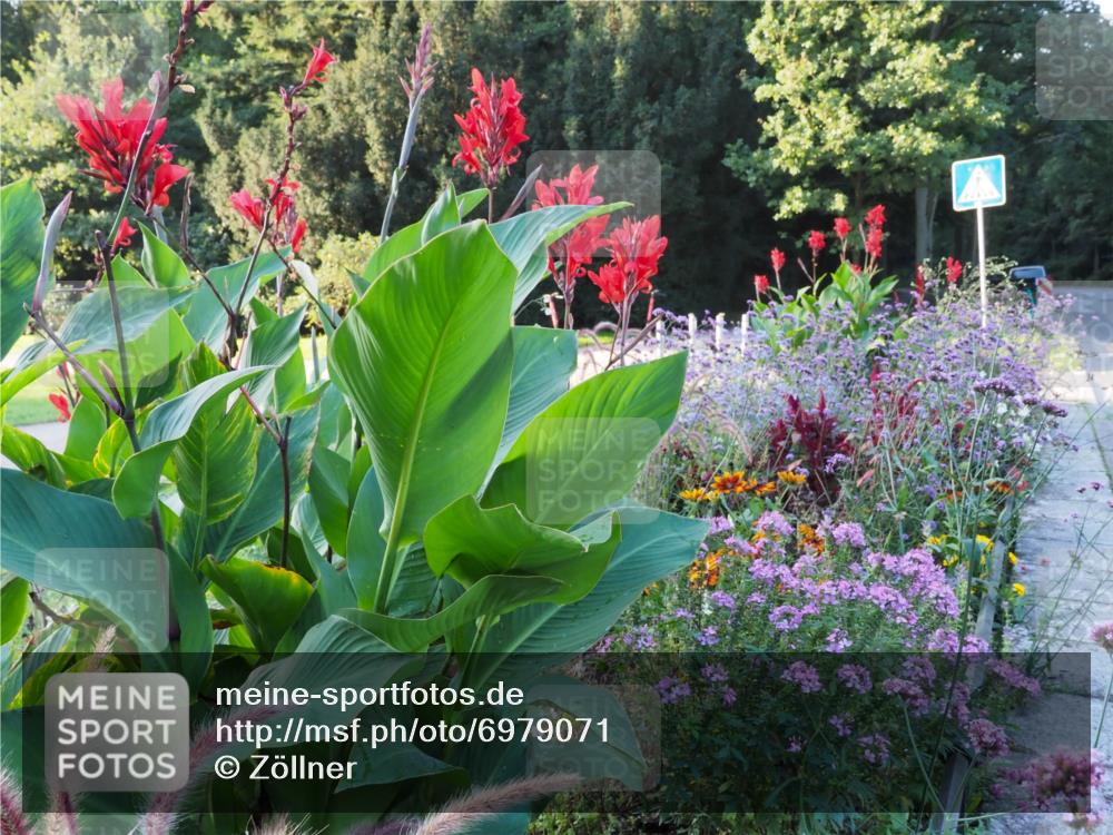 08.09.2024 - Stadtparktriathlon Zöllner http://msf.ph/oto/6979071 08.09.2024 08:07:14 Radfahren  meine-sportfotos.de