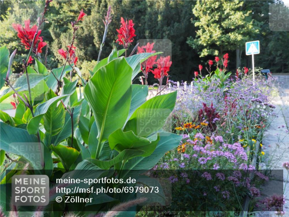 08.09.2024 - Stadtparktriathlon Zöllner http://msf.ph/oto/6979073 08.09.2024 08:07:14 Radfahren  meine-sportfotos.de