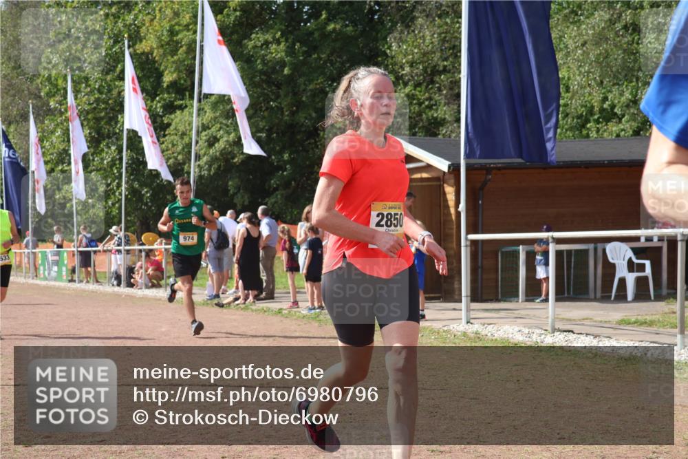 08.09.2024 - Airport Race Strokosch-Dieckow http://msf.ph/oto/6980796 08.09.2024 12:15:45 Ziel 18, 239, 974, 2533, 2578, 2850, 2861, 3072, 3150 meine-sportfotos.de