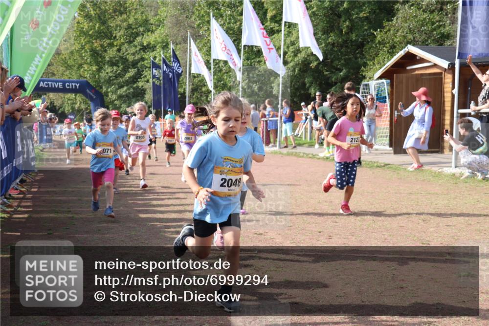 08.09.2024 - Airport Race Strokosch-Dieckow http://msf.ph/oto/6999294 08.09.2024 11:13:15 Ziel  meine-sportfotos.de