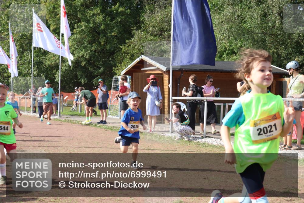 08.09.2024 - Airport Race Strokosch-Dieckow http://msf.ph/oto/6999491 08.09.2024 11:13:22 Ziel  meine-sportfotos.de