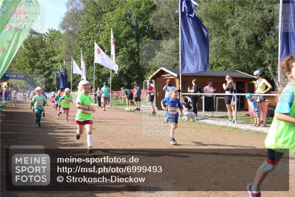 08.09.2024 - Airport Race Strokosch-Dieckow http://msf.ph/oto/6999493 08.09.2024 11:13:22 Ziel  meine-sportfotos.de
