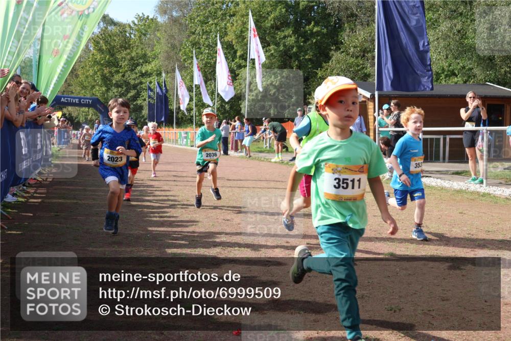 08.09.2024 - Airport Race Strokosch-Dieckow http://msf.ph/oto/6999509 08.09.2024 11:13:25 Ziel  meine-sportfotos.de
