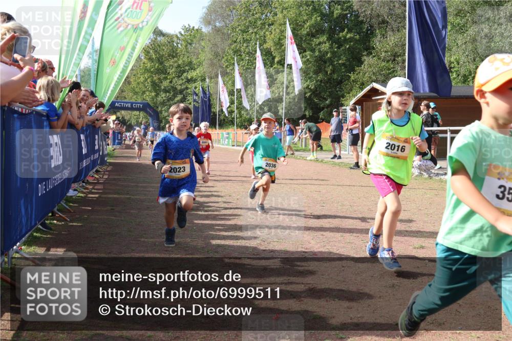 08.09.2024 - Airport Race Strokosch-Dieckow http://msf.ph/oto/6999511 08.09.2024 11:13:25 Ziel  meine-sportfotos.de