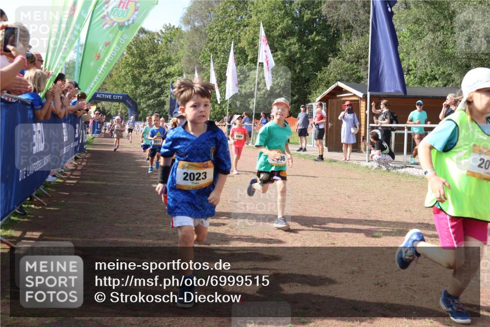 08.09.2024 - Airport Race Strokosch-Dieckow http://msf.ph/oto/6999515 08.09.2024 11:13:26 Ziel  meine-sportfotos.de