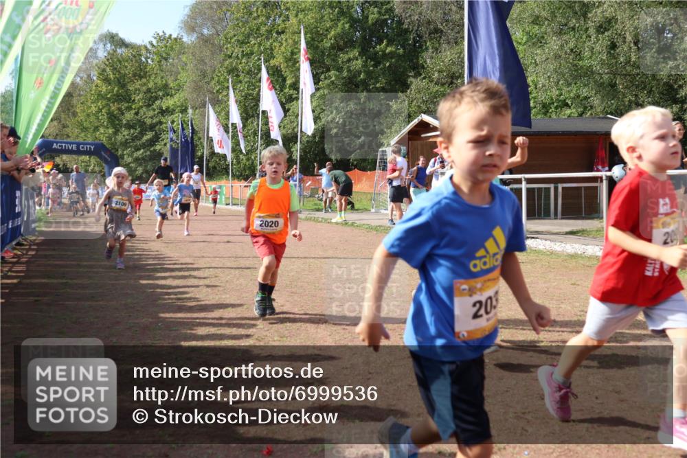 08.09.2024 - Airport Race Strokosch-Dieckow http://msf.ph/oto/6999536 08.09.2024 11:13:29 Ziel  meine-sportfotos.de
