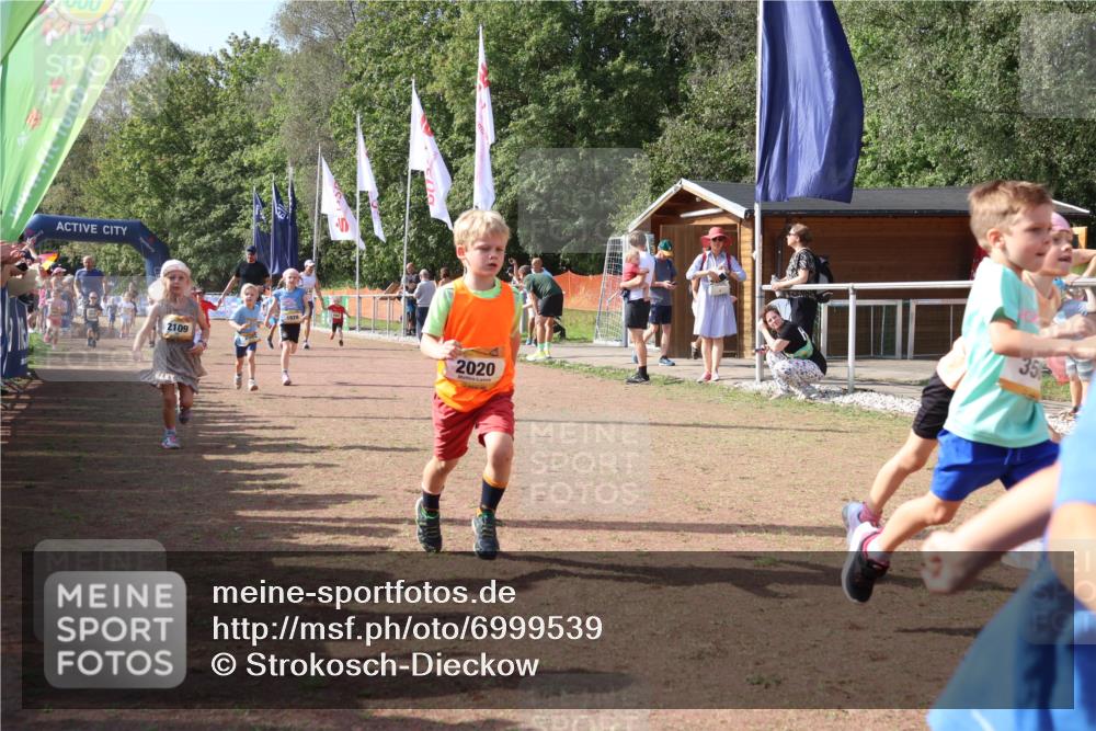 08.09.2024 - Airport Race Strokosch-Dieckow http://msf.ph/oto/6999539 08.09.2024 11:13:29 Ziel  meine-sportfotos.de
