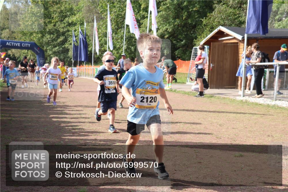08.09.2024 - Airport Race Strokosch-Dieckow http://msf.ph/oto/6999570 08.09.2024 11:13:39 Ziel  meine-sportfotos.de