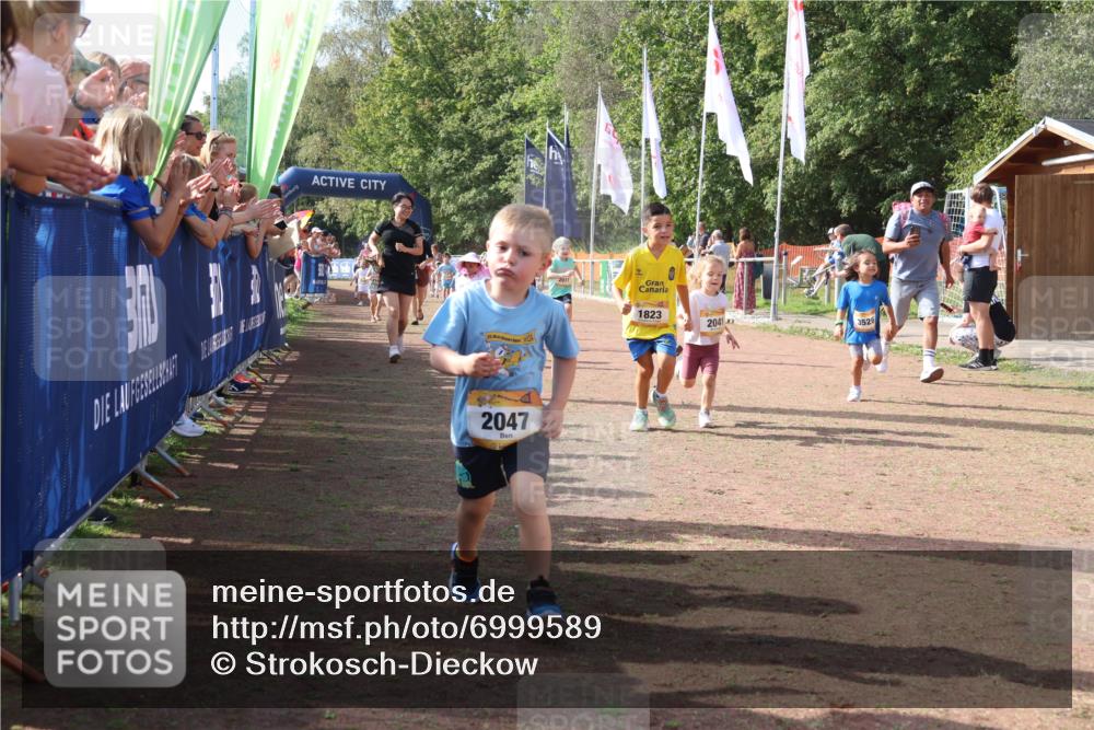 08.09.2024 - Airport Race Strokosch-Dieckow http://msf.ph/oto/6999589 08.09.2024 11:13:42 Ziel  meine-sportfotos.de
