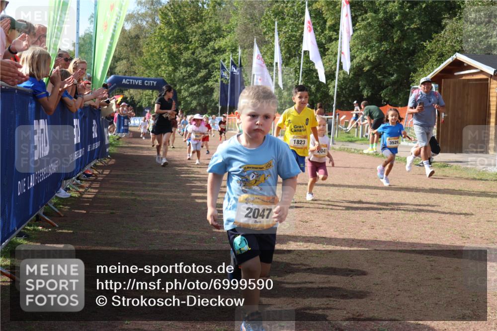 08.09.2024 - Airport Race Strokosch-Dieckow http://msf.ph/oto/6999590 08.09.2024 11:13:43 Ziel  meine-sportfotos.de